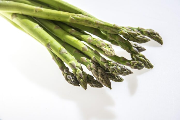 Private label vegetarian meals and sides gain shelf space in grocery chains