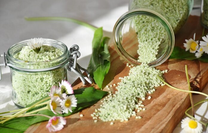 Probiotic and prebiotic powders enhanced with freeze dried food fibers