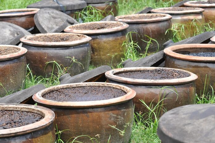 Salt distribution and pH monitoring systems in fermented foods
