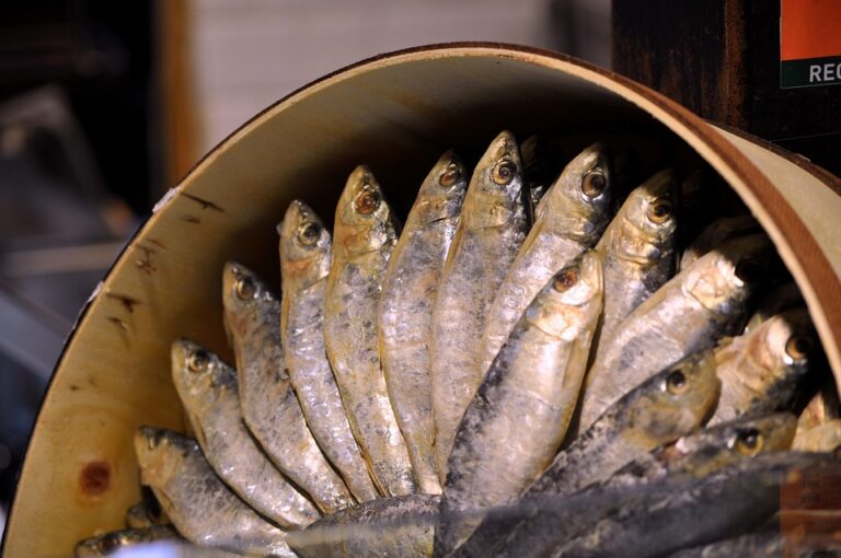 Sardine Tariffs and Trade Agreements How Global Policies Shape Prices Sardine Tariffs and Trade Agreements How Global Policies Shape Prices