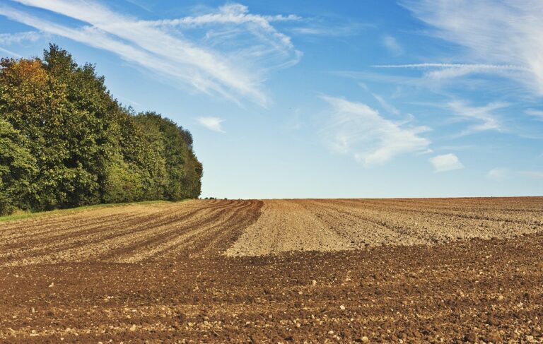 Seedbed prep equipment for high value horticultural crops Seedbed prep equipment for high value horticultural crops