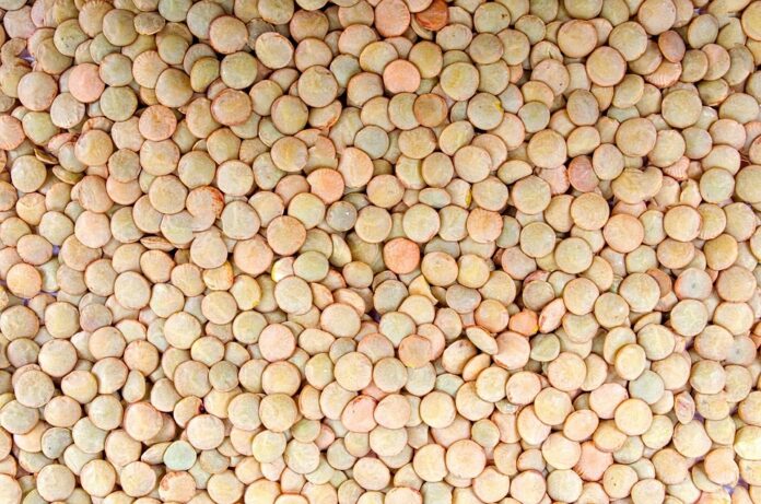 Soups and stews use freeze dried legumes for fast hydration