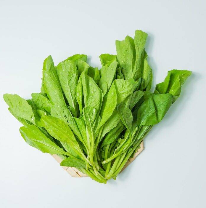 Spinach Production Trade and Consumption A 360° Industry Report