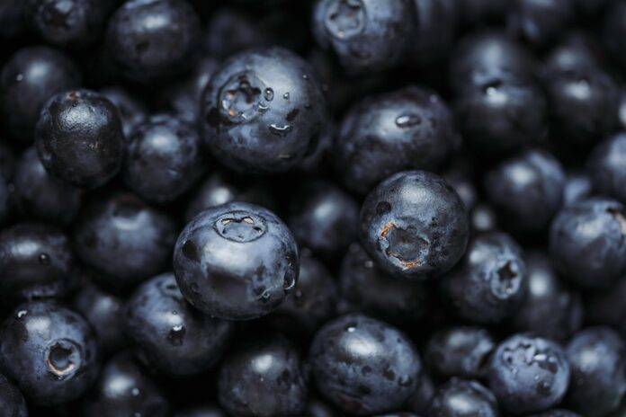 Superfood infused snacks offer portable nutrition for on the go consumers