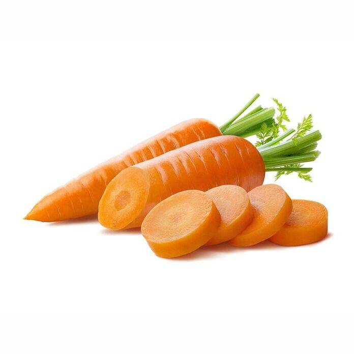 Sustainability in Carrot Farming Reducing Water Use and Carbon Footprint