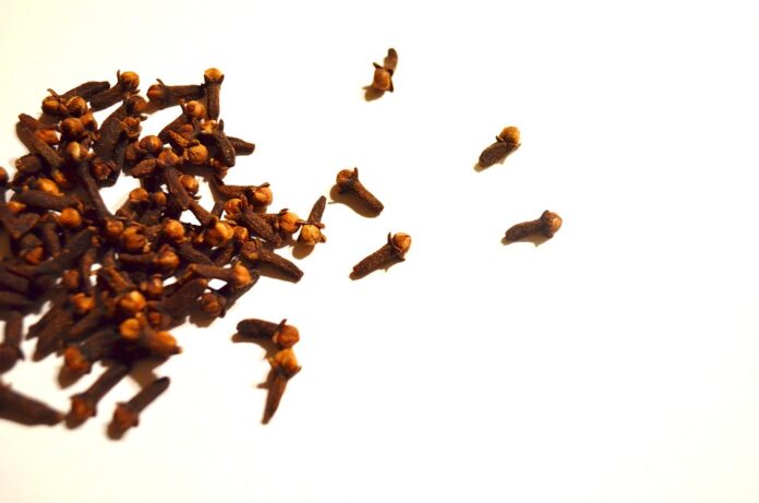 Sustainability in Cloves Farming Reducing Environmental Impact and Enhancing Soil Health