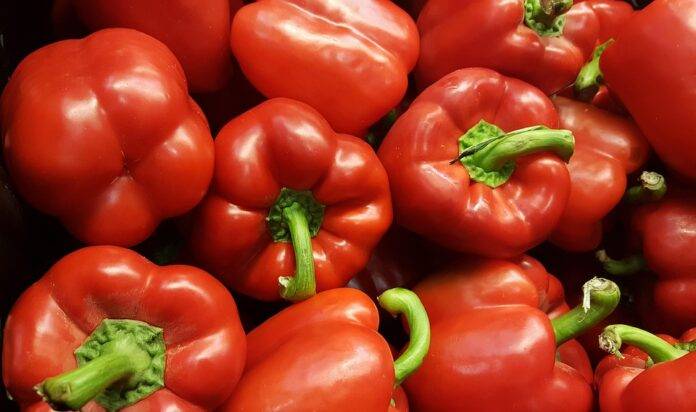 Sustainability in Pepper Farming Reducing Water Use and Carbon Footprint