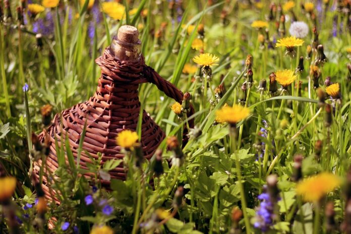 Sustainable bottling practices reshape the carbon footprint of beverage brands