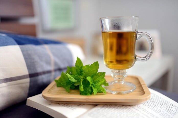 The Challenges and Opportunities in the Global Peppermint Supply Chain