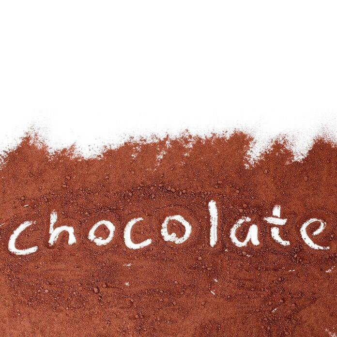 The Different Types of Chocolate Powder and Their Unique Applications