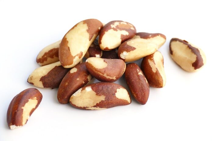 The Economics of Brazil Nuts Price Trends Supply Chains and Market Forces