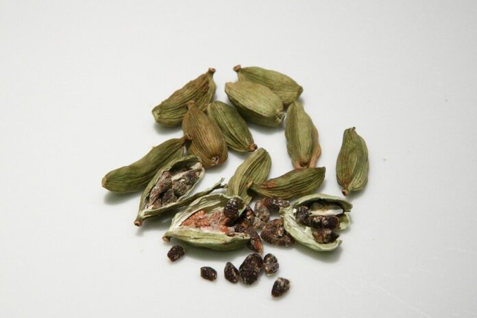 The Economics of Cardamom Price Trends Supply Chains and Market Forces