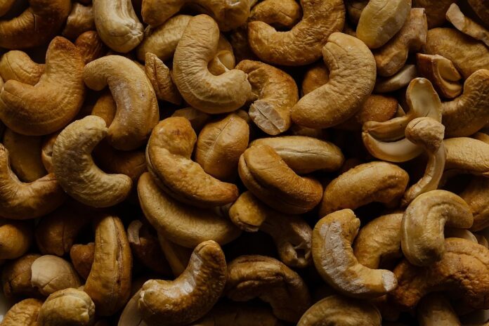 The Economics of Cashews Price Trends Supply Chains and Market Forces