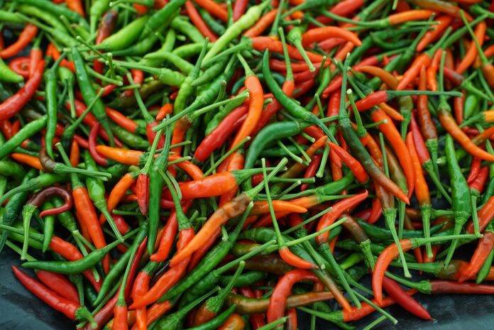 The Economics of Chilies Price Trends Supply Chains and Market Forces