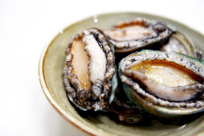 The Economics of Contract Abalone Harvesting and Aquaculture Who Benefits?