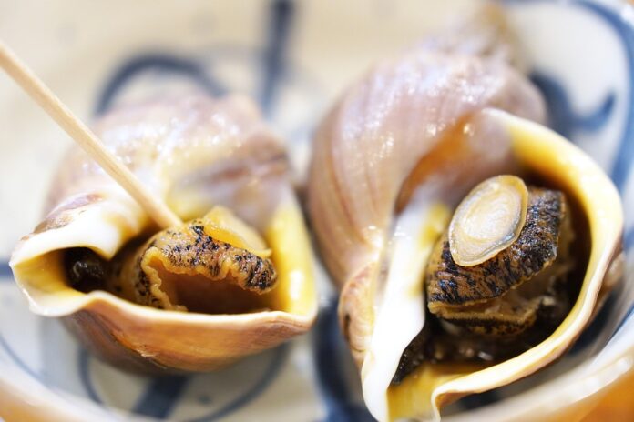 The Economics of Contract Whelk Harvesting and Aquaculture Who Benefits?