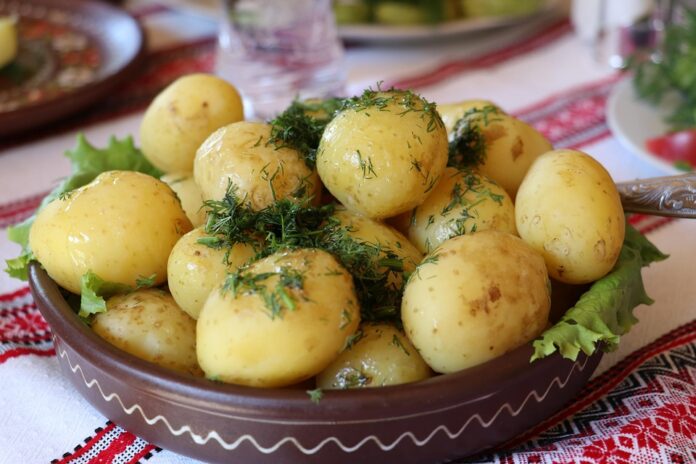 The Economics of Dill Price Trends Supply Chains and Market Forces