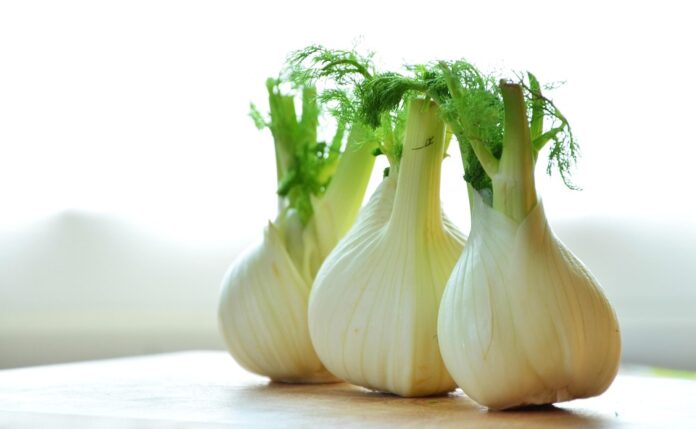 The Economics of Fennel Price Trends Supply Chains and Market Forces