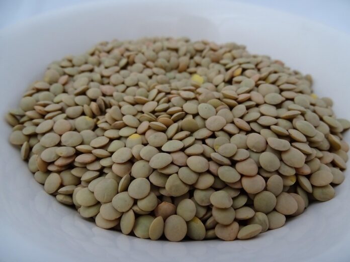 The Economics of Lentils Price Trends Supply Chains and Market Forces
