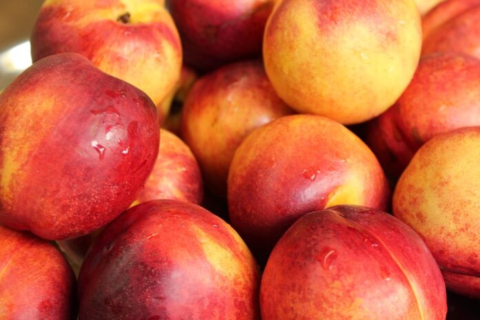 The Economics of Nectarine Price Trends Supply Chains and Market Forces