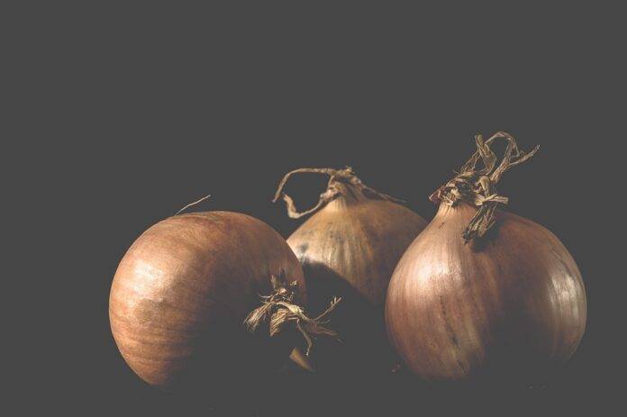 The Economics of Onions Price Trends Supply Chains and Market Forces