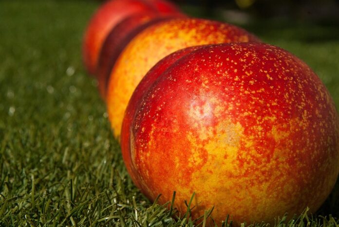 The Economics of Peach Price Trends Supply Chains and Market Forces