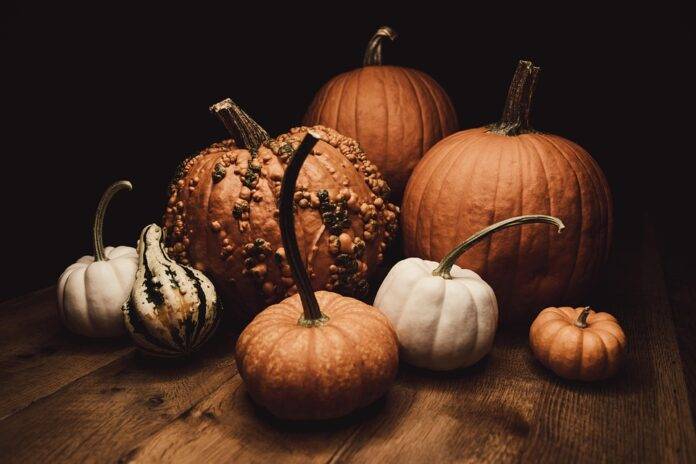 The Economics of Pumpkins Price Trends Supply Chains and Market Forces