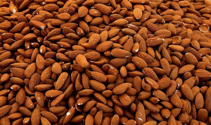 The Future of the Almonds Industry Predictions for the Next Decade