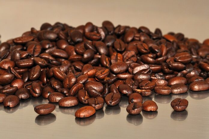 The Future of the Bean Industry Predictions for the Next Decade