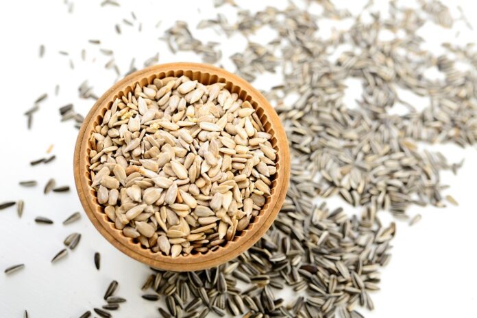 The Future of the Sunflower Seeds Industry Predictions for the Next Decade