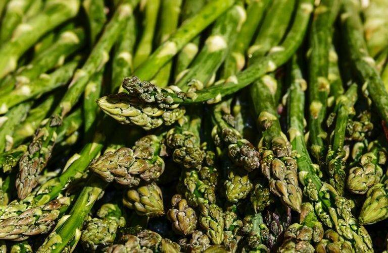 The Global Asparagus Market in 2025 Trends Opportunities and Challenges The Global Asparagus Market in 2025 Trends Opportunities and Challenges