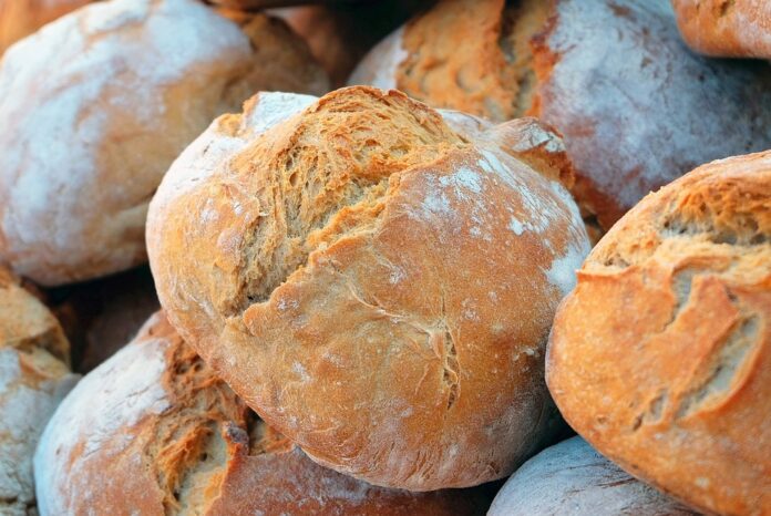 The Global Bread Industry Market Size Growth and Future Trends