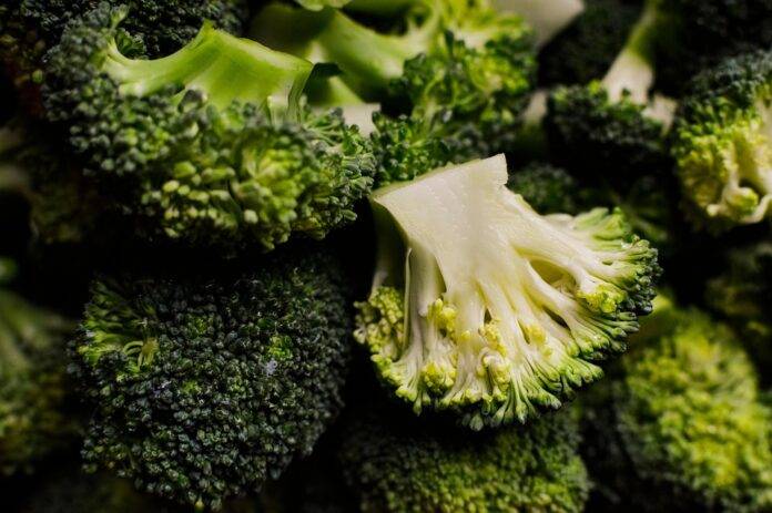 The Global Broccoli Market in 2025 Trends Opportunities and Challenges