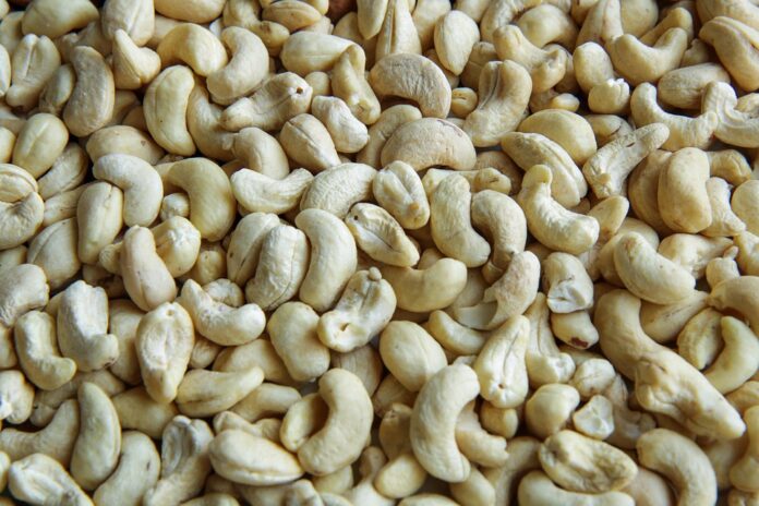 The Global Cashews Market in 2025 Trends Opportunities and Challenges
