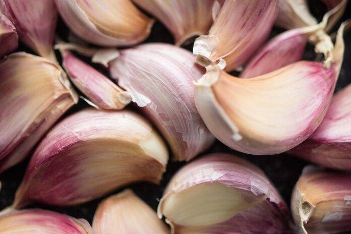 The Global Garlic Market in 2025 Trends Opportunities and Challenges