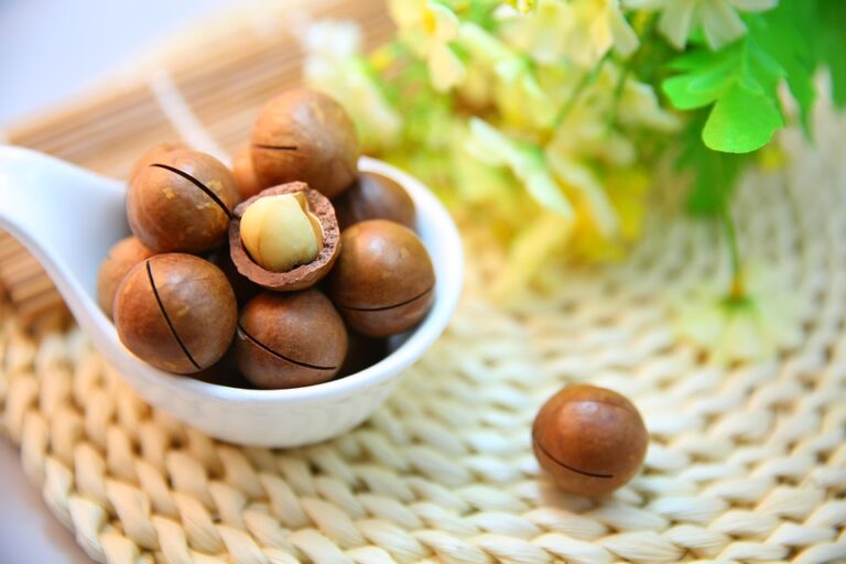 The Global Macadamias Market in 2025 Trends Opportunities and Challenges The Global Macadamias Market in 2025 Trends Opportunities and Challenges