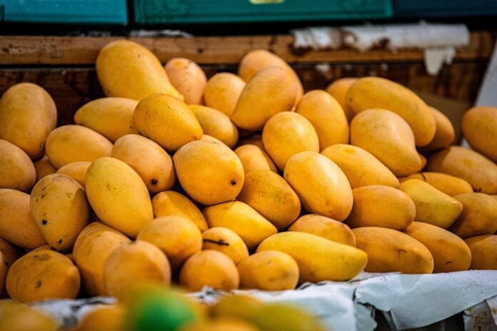 The Global Mango Market in 2025: Trends