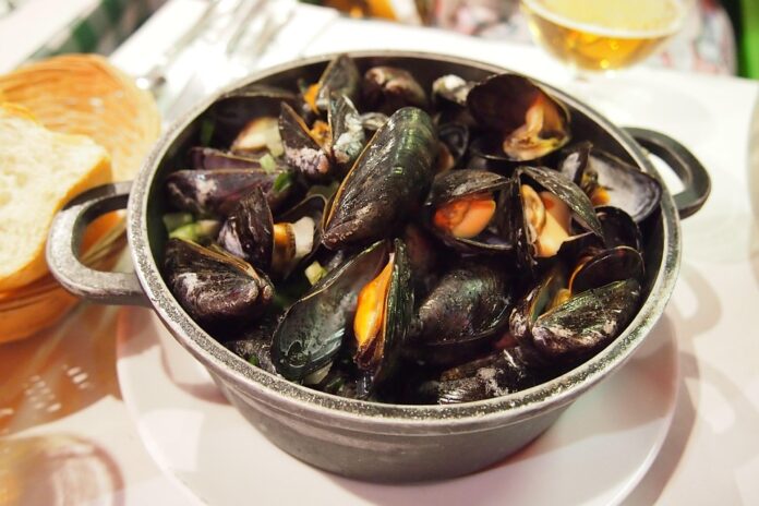 The Global Mussel Market in 2025: Trends