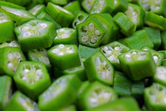 The Global Okra Market in 2025 Trends Opportunities and Challenges