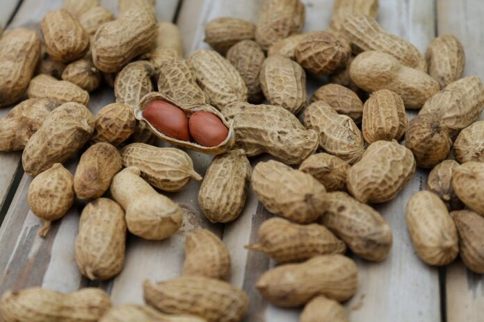 The Global Peanut Market in 2025 Trends Opportunities and Challenges