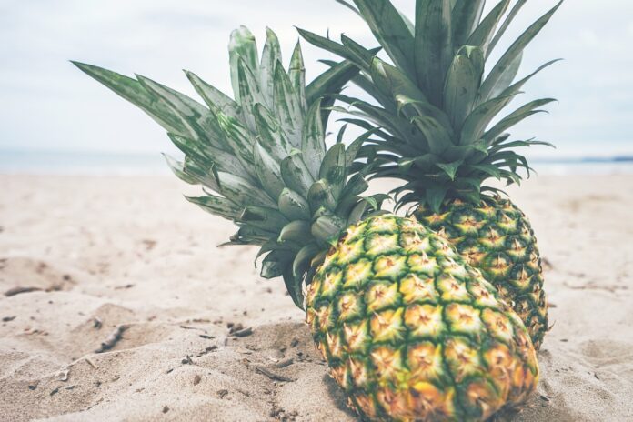 The Global Pineapple Market in 2025 Trends Opportunities and Challenges