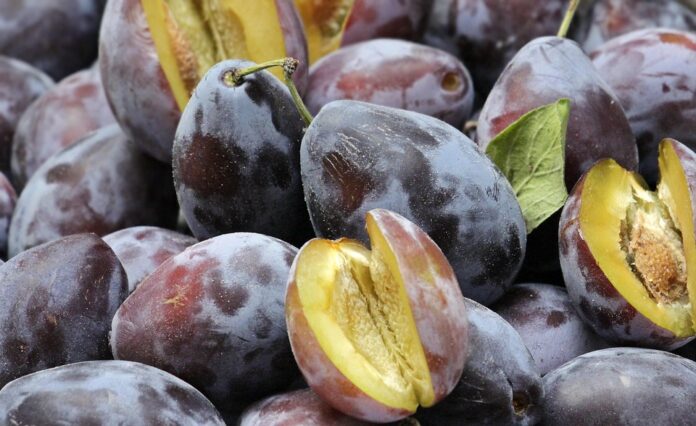 The Global Plum Market in 2025 Trends Opportunities and Challenges