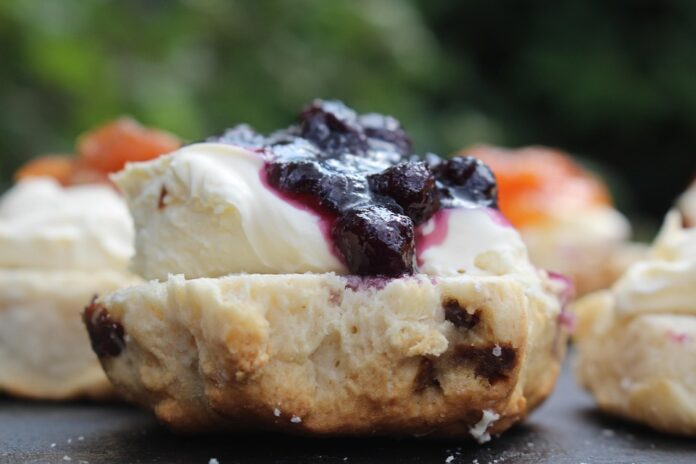 The Global Scone Industry Market Size Growth and Future Trends