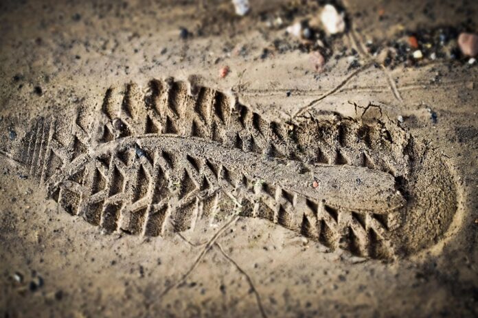 The Global Sole Market in 2025 Trends Opportunities and Challenges