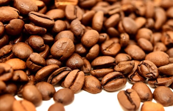 The Growing Demand for Organic and Sustainable Beans What’s Driving It