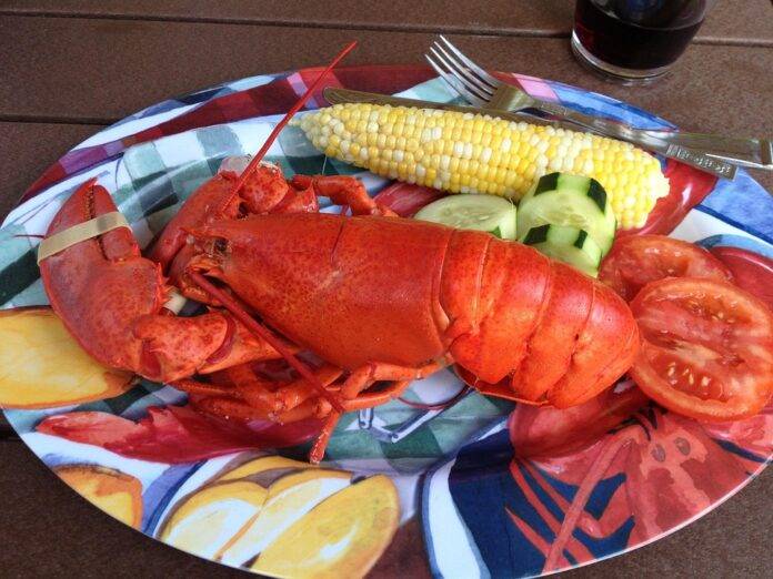 The Growing Demand for Organic and Sustainable Lobsters What’s Driving It