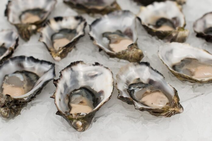 The Growing Demand for Organic and Sustainable Oysters What’s Driving It