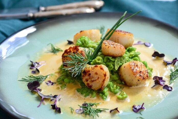 The Growing Demand for Organic and Sustainable Scallops What’s Driving It