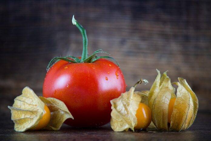 The History and Evolution of Fruit Drops From Apothecaries to Modern Sweets