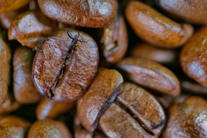 The Impact of Currency Fluctuations on Bean Trade and Pricing
